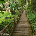 Dantewada, Sticky waterfalls, Wat banden, Paddy rice-field. - Detailed Breakdown of the Itinerary