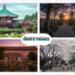 Dark Traditional Tour|The Origin: Mythology and Samurai. Ueno+Yanaka - Analyzing the Value: Price, Content, and Experience