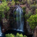 Darwin: Litchfield National Park Waterfalls & Wildlife Tour - An Overview of the Tour Experience