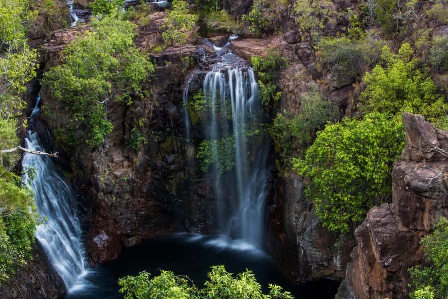Darwin: Litchfield National Park Waterfalls & Wildlife Tour - An Overview of the Tour Experience