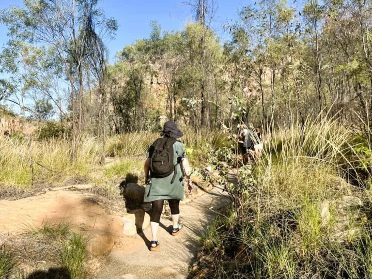 Darwin: Nitmiluk Edith Falls Tour & Katherine Gorge Cruise - A Deep Dive into the Experience