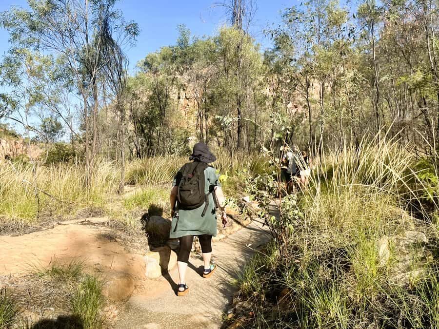 Darwin: Nitmiluk Edith Falls Tour & Katherine Gorge Cruise - A Deep Dive into the Experience