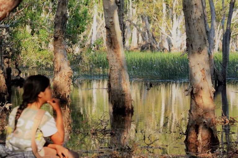 Darwin: Premium Litchfield Regional Small Group Day Tour - Is This Tour Worth It?