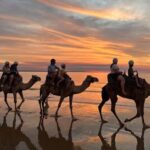 Darwin: Sunset Camel Ride along Mindil Beach - The Practical Details