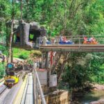 Datanla New Alpine Coaster Experience Pass in Vietnam - Why This Experience Offers Great Value