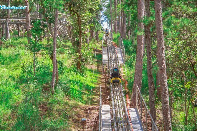 Datanla New Alpine Coaster Tour Experience Ticket - Who Will Love This Experience?