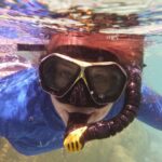 Day Cruise & Island Tour - Snorkel/Wildlife/Paddleboard/Islands - Who Will Love This Tour?