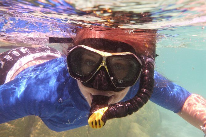 Day Cruise & Island Tour - Snorkel/Wildlife/Paddleboard/Islands - Who Will Love This Tour?