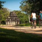 Day Excursion To Ancient City Polonnaruwa - What to Expect from the Tour