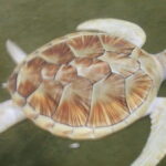 Day Excursion to Historical Galle - What Makes This Tour Stand Out