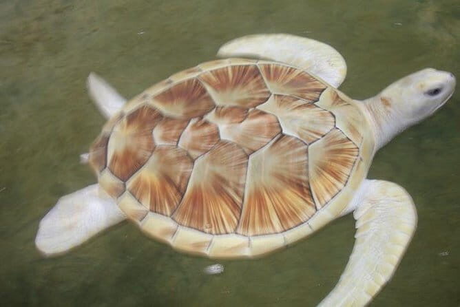 Day Excursion to Historical Galle - What Makes This Tour Stand Out