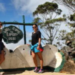 Day Excursion to Lipton Seat & Dambatenne Tea Factory from Ella - The Itinerary: What to Expect