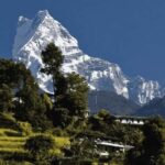 Day Hike from Dhampus to Australian Camp with Lunch - What Do Reviewers Say?