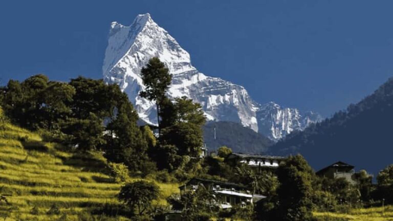 Day Hike from Dhampus to Australian Camp with Lunch - What Do Reviewers Say?