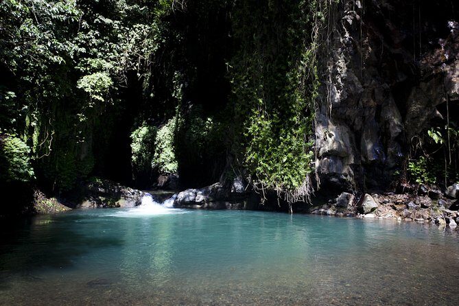 Day in Lovina - Key Points