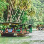 Day Swing to Bohol - What You Get and What You Might Miss