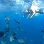 Day Tour and Snorkeling With Manta Rays to Lembongan From Bali - What Makes This Tour Stand Out?