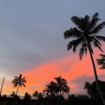 Day Tour Exploration of Fiji Culture and Nature - Practical Details and Tips