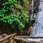 Day Tour in Doi Inthanon National Park & 2 Hour-Hiking with Lunch - Practical Details & Value