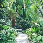 Day tour kandy to sigiriya and return kandy - Transportation and Group Size