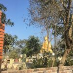 Day Tour of Lumbini Mayadevi Temple - An In-Depth Look at the Lumbini Mayadevi Temple Tour