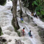 Day Tour Small Group Elephant Sanctuary and Fun Sticky Waterfall - Who Should Book This Tour?