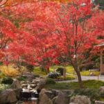 Day Tour to Yutoku Inari Shrine & Sachihime Sake Brewery| Fukuoka - The Journey to Sachihime Sake Brewery