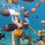 Day Tour West Nusa Penida and Snorkeling From Nusa Lembongan - Transportation and Practical Details