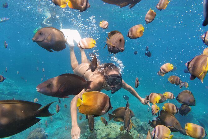 Day Tour West Nusa Penida and Snorkeling From Nusa Lembongan - Transportation and Practical Details