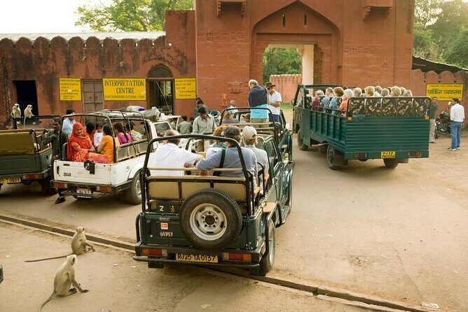 Day Trip from Jaipur to Ranthambore with Tiger Safari - What We Like About This Tour