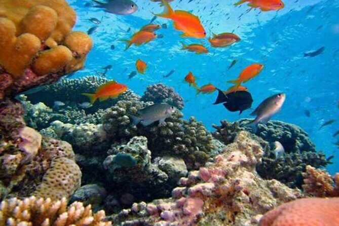 Day Trip: Lempuyang Temple &Tirta Gangga with Snorkeling at Blue Lagoon beach - Why This Tour Offers Good Value