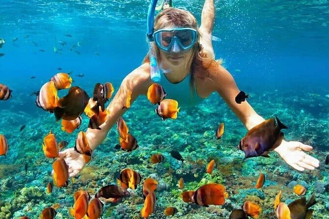 Day Trip: Nusa Penida Snorkling - The Overall Value