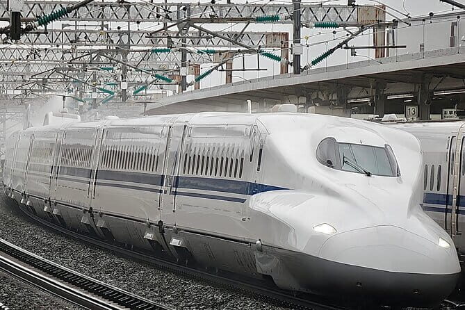 Day Trip Osaka from Tokyo with a Guide by Bullet Train - Why Choose This Tour?