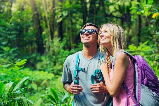 Day Trip to Chikmagalur (Guided Sightseeing Tour by Car from Mysore) - Who Will Love This Tour?