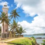 Day Trip to Galle Dutch Fort (All-Inclusive) - Visiting the Kosgoda Sea Turtle Conservation Project