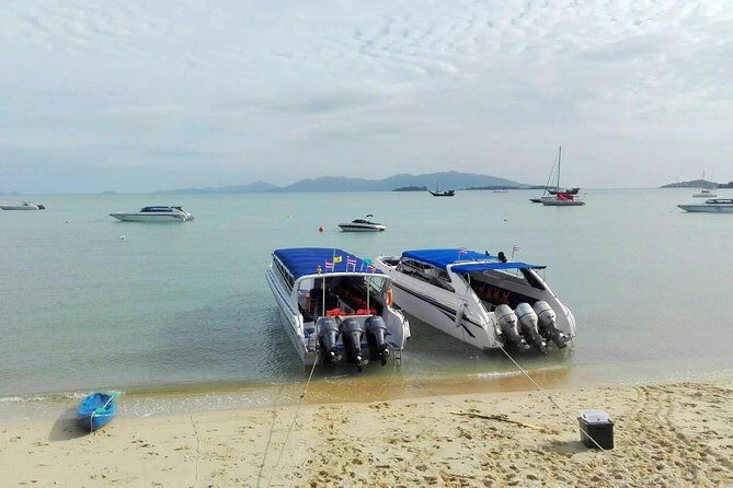 Day Trip to Koh Nangyuan & Koh Tao by Insea Speedboat from Koh Samui - The Experience – What Travelers Can Expect