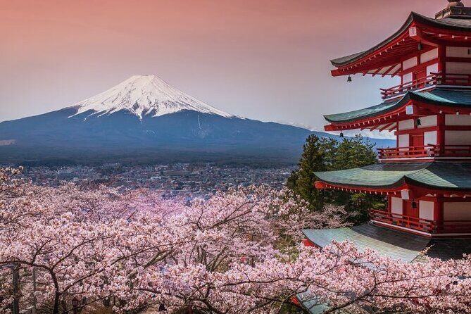 Day Trip To Mount Fuji and Hakone from Tokyo with English Guide - In-Depth Look at the Itinerary