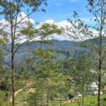 Dayagama: Pekoe Trail Stage 9 & 10 Guided Hike - A Detailed Look at the Tour