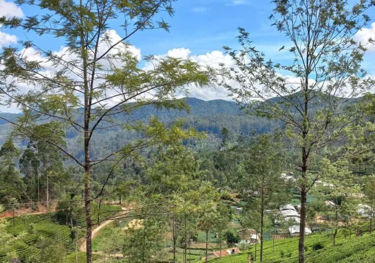 Dayagama: Pekoe Trail Stage 9 & 10 Guided Hike - A Detailed Look at the Tour