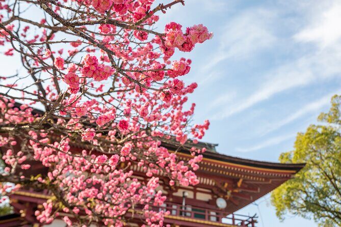 Dazaifu, Yanagawa River Cruise & Strawberry Picking from Fukuoka - Yanagawa Canal Cruise: Cruising Kyushu’s Venice