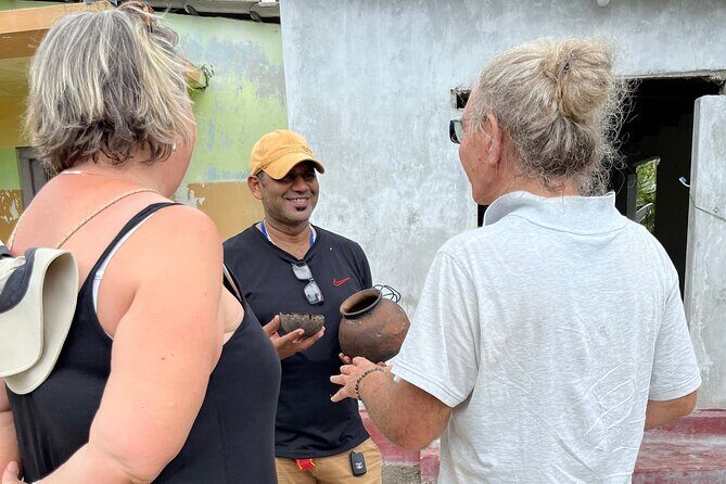 Delft Island Guided Tour Discover the Beauty and Culture - Who Will Love This Tour?