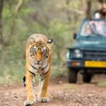 Delhi: 7 Days Golden Triangle with Tiger safari & Varanasi - Why This Tour Offers Great Value