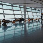 Delhi Airport To Delhi NCR Hotels One-Way Car Transfer - Practical Tips