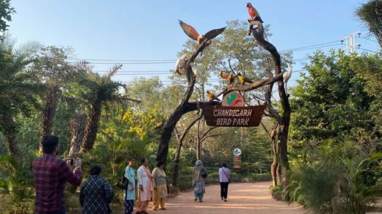 Delhi: Chandigarh 3-Day Tour with Hotel and Transfers - Who Should Consider This Tour?