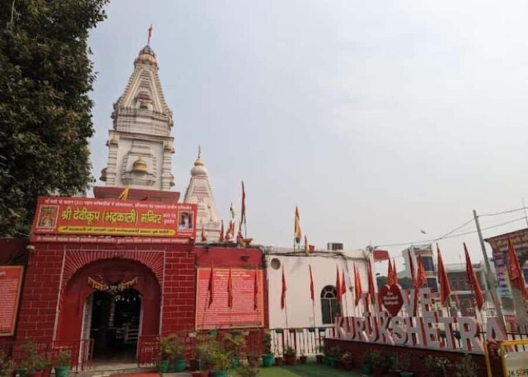 Delhi: Guided Shopping Tour Experience Local Expert Guide - Dive into Delhi’s Market Scene with Ease