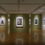 Delhi: Museums Tour with Curator-Led Session & Pickup - Practical Details and What You Should Know