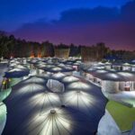 Delhi: Private Half-Day Shopping Tour with Choice of Guide - Who Will Love This Tour?