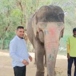 Delhi : Private Taj Mahal with Elephant Sanctuary Tours - Deep Dive into the Details