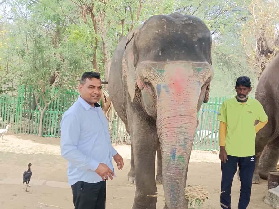 Delhi : Private Taj Mahal with Elephant Sanctuary Tours - Deep Dive into the Details