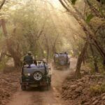 Delhi: Ranthambore National Park 3-Day Tour with Safari. - What You Can Expect: Wildlife Encounters & Comfort